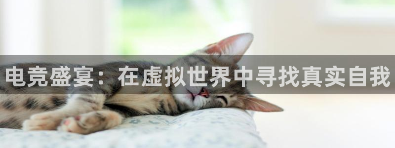 南宫电竞登陆：电竞盛宴：在虚拟世界中寻找真实自我