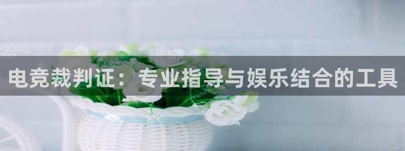 南宫电竞：电竞裁判证：专业指导与娱乐结合的工具
