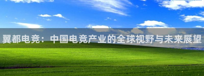 南宫电竞注册：翼都电竞：中国电竞产业的全球视野与未来展望