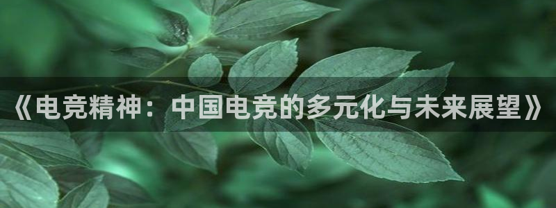 南宫电竞网：《电竞精神：中国电竞的多元化与未来展望》