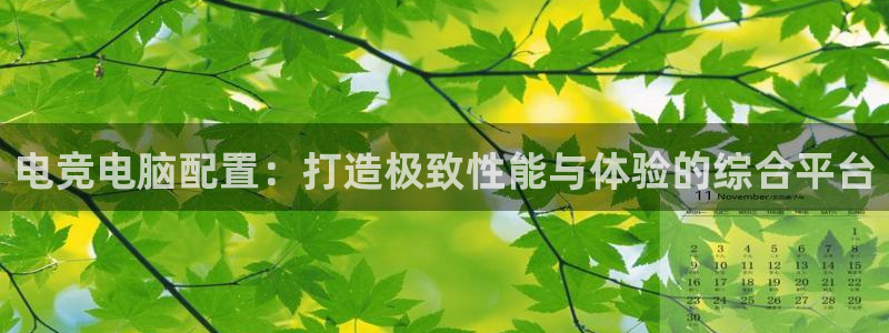 南宫电竞注册：电竞电脑配置：打造极致性能与体验的综合平台