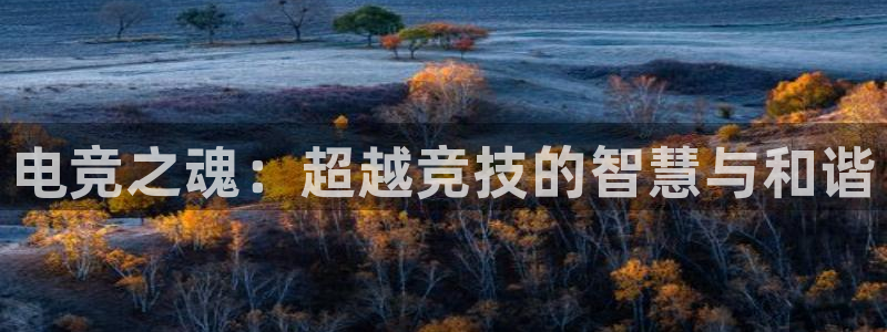 南宫电竞平台：电竞之魂：超越竞技的智慧与和谐